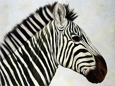 Royalty-Free and Rights-Managed Images - La Zebra by Guido Borelli
