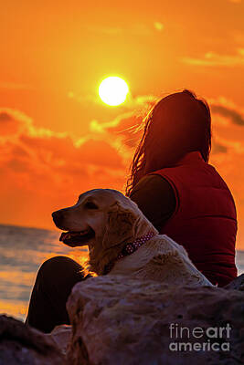 Seamstress - Labrador dog on the beach a1 by Ran Levy