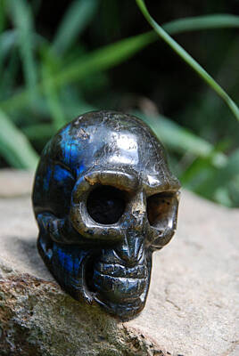 Celebrity Watercolors - Labradorite Crystal Skull by Katherine Nutt