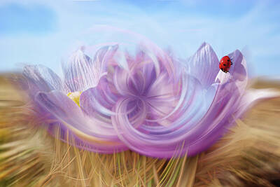 Surrealism Photos - Ladybug Trippin at the Crocus Cafe - abstract rendition of ND prairie crocus with ladybug by Peter Herman