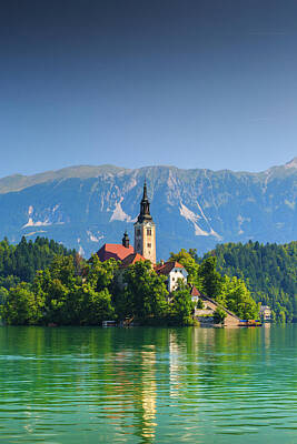 White Roses - Lake Bled. Slovenia 08 by Mikel Bilbao Gorostiaga