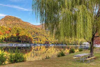 Mountain Royalty Free Images - Lake Lure North Carolina - Weeping Willow Royalty-Free Image by Steve Rich