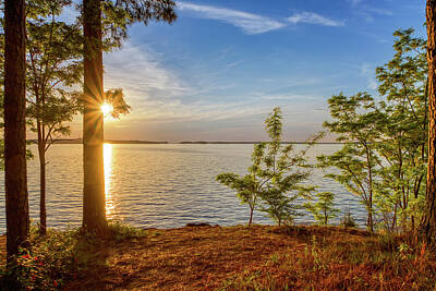 Landscapes Royalty-Free and Rights-Managed Images - Lake Thurmond - Clarks Hill at Sunset 8 by Steve Rich