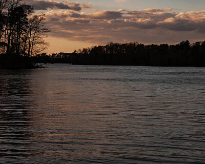 Woodland Animals - Lake Tillery sunset by Flees Photos