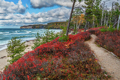 Halloween Elwell Royalty Free Images - Lakeshore Trail at Miners Beach Royalty-Free Image by Tim Trombley