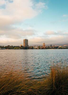 Lets Be Frank - Lakeside Park, Oakland 03 by Jon Bilous