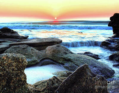 Tool Paintings Rights Managed Images - Landscape_The Rocks and Washington Oaks State Park_Marineland Beach_ St Augustine_IMGL1014 Royalty-Free Image by Randy Matthews