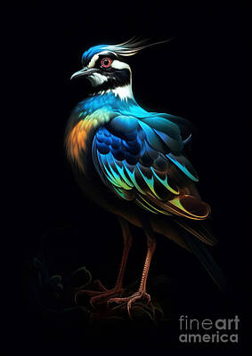 Animals Digital Art - Lapwing bird CCCXXXV animal black background by Rhys Jacobson