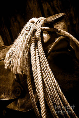 Landmarks Royalty-Free and Rights-Managed Images - Lariat on a Saddle - Sepia by American West Legend