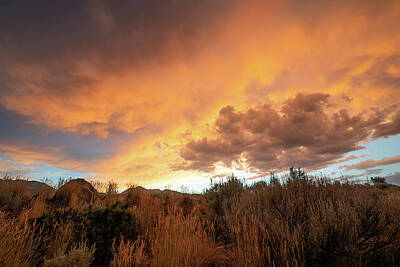 Chinese New Year - Last Light Over the High Desert by Ron Long Ltd Photography