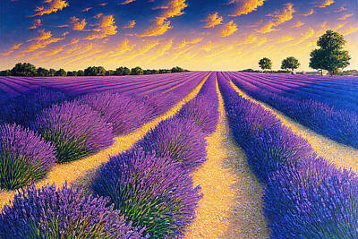 Royalty-Free and Rights-Managed Images - Lavender fields, Panorama, 02 by AM FineArtPrints