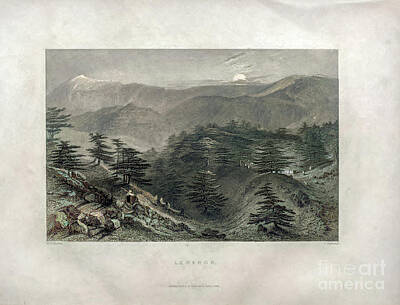 Achieving - Lebanon landscape - 1840 t2 by Historic illustrations