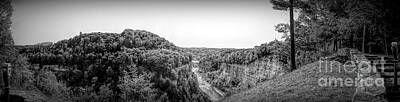 Roses Photos - Letchworth State Park  Middle and Upper Falls Panorama Dramatic Black and White by Rose Santuci-Sofranko