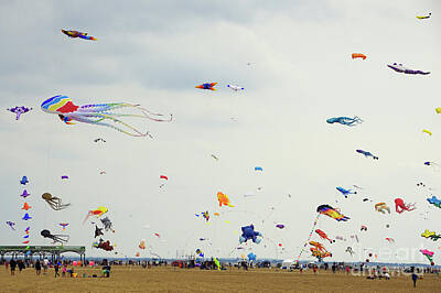 Grateful Dead Royalty Free Images - Lets go fly a kite Royalty-Free Image by David Birchall