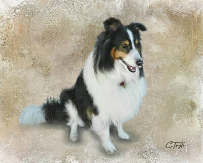 Animals Mixed Media - Lexi by Colleen Taylor