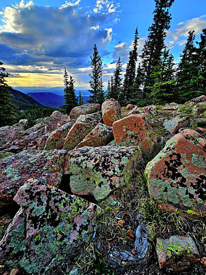 Animal Paintings James Johnson Royalty Free Images - Lichen Palette at Pikes Peak  Royalty-Free Image by Ray Mathis