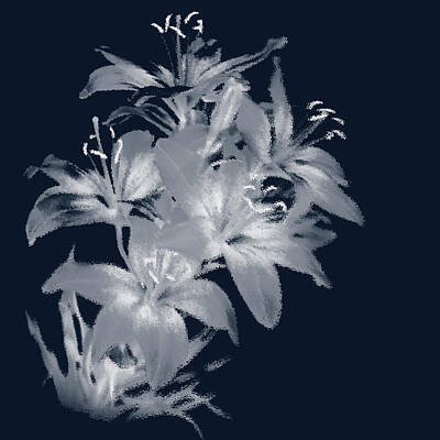 Lilies Mixed Media Royalty Free Images - Light Lily on Dark Royalty-Free Image by Masha Batkova