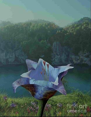 Recently Sold - Lilies Digital Art - Lily Island by Corey Mineo