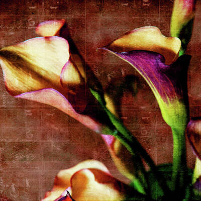 Lilies Digital Art - Lily Me So Pretty by Brandi Fitzgerald