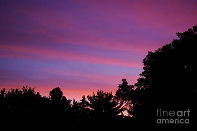 Frank J Casella Royalty-Free and Rights-Managed Images - Lines in the Morning Sky by Frank J Casella