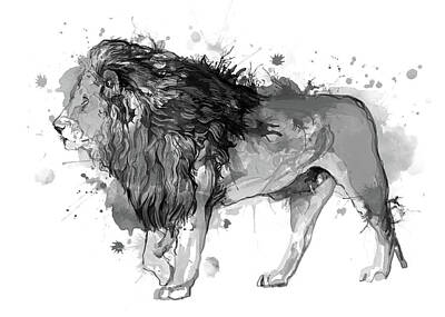 Mammals Digital Art - Lion Watercolor Bw by Bekim M