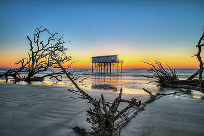 Beach Royalty-Free and Rights-Managed Images - Little Blue on Hunting Island at Sunrise by Steve Rich