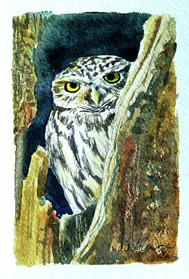 Popstar And Musician Paintings - Little Owl by Jo Johnson