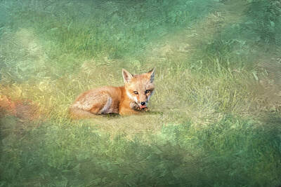Queen - Little Red Fox Painterly - Paw Lick by Patti Deters