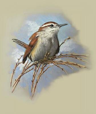 Birds Drawings Royalty Free Images - Little Wren Royalty-Free Image by Joyce Geleynse