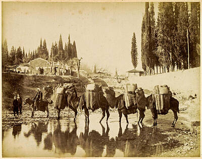 Southwest Landscape Paintings Rights Managed Images - Loaded pack animals cross river, presumably at Smyrna, anonymous, c. 1880 - c. 1890 Royalty-Free Image by Artistic Rifki