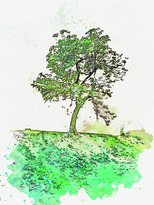 Comedian Drawings - Lone Tree, a forest family member - 47, ca 2021 by Ahmet Asar, Asar Studios by Celestial Images