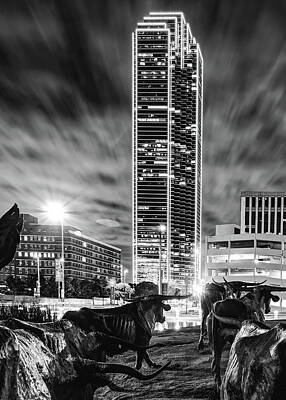 Cities Photos - Longhorn Cattle Drive and the Dallas Skyline - Monochrome Edition by Gregory Ballos