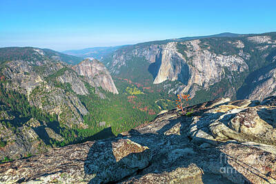 School Tote Bags - lookout of El Capitan in Yosemite by Benny Marty