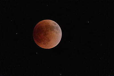 Glass Of Water - Lunar Eclipse May 2022 B by Steve Rich