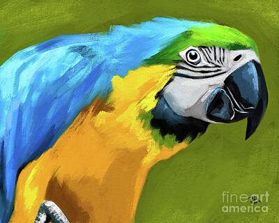 Tammy Lee Bradley Royalty-Free and Rights-Managed Images - Macaw by Tammy Lee Bradley