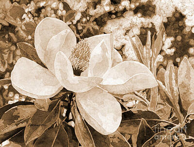 Botanical Farmhouse - Magnolia Melody in sepia tone by Hailey E Herrera