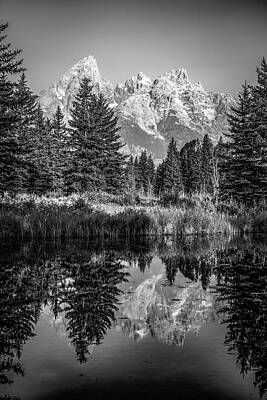 Reptiles Royalty-Free and Rights-Managed Images - Majestic Tetons - A Reflective Morning Masterpiece In Black And White by Gregory Ballos