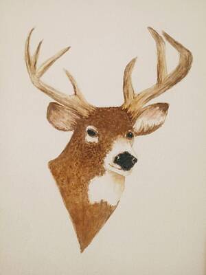 Aromatherapy Oils - Male Deer by Michael Vigliotti