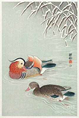 Zen Garden - Mandarin ducks 1925 - 1936 by Ohara Koson 1877-1945 by Shop Ability