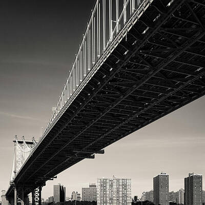 Anne Geddes Florals -  Manhattan Bridge by Dave Bowman