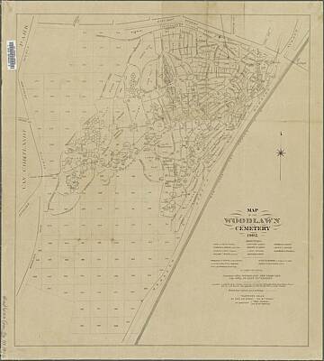 Mother And Child Paintings - Map or plan of the Borough of the Bronx, City of New York, as adopted or proposed. By the Office of by Timeless Images Archive
