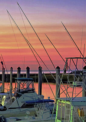 Nfl Team Signs - Marina Sunset by Sharon Williams Eng