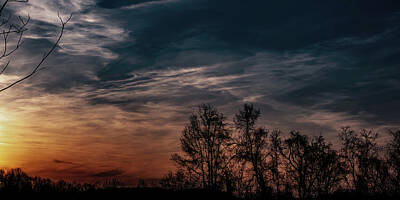 Woodland Animals - Mason Co Sunset 03 by Flees Photos
