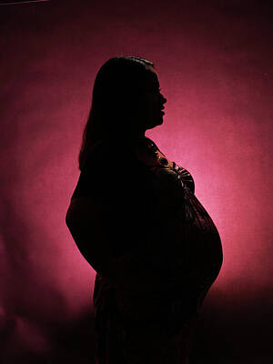 Presidential Portraits - Maternity Silhouette F52 by Stan Gregg