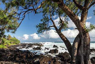Pucker Up - Maui Ocean Trees by Craig A Walker
