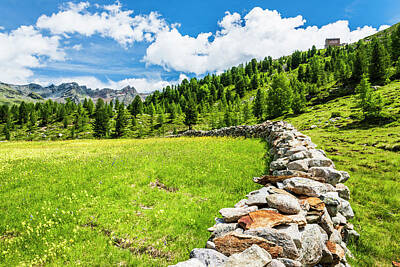 Signs For The Modern Restaurant - Meadows and high mountain paths. South Tyrol. Italy by Nicola Simeoni