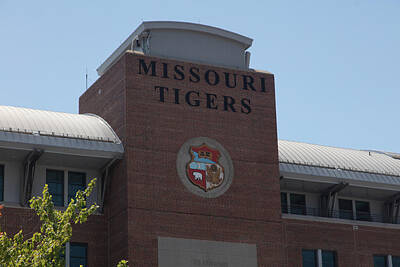 Football Rights Managed Images - Memorial Stadium at University of Missouri Royalty-Free Image by Eldon McGraw