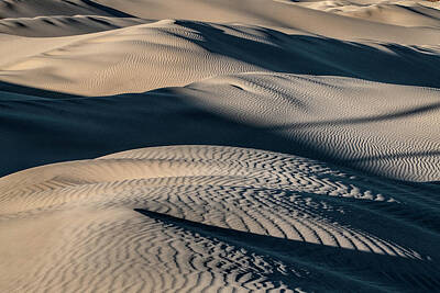 The Dream Cat Royalty Free Images - Mesquite Flat Dunes 2600 Royalty-Free Image by Bob Neiman