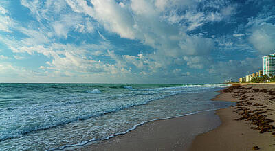 Lilies Royalty-Free and Rights-Managed Images - Miami Beach Panorama by Lily Malor