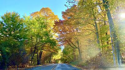 Fromage - Michigan fall on the morning road by Kendall Tabor